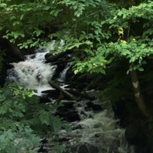 Meet your Posher, Timothy